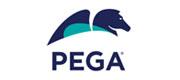 pega-ltd